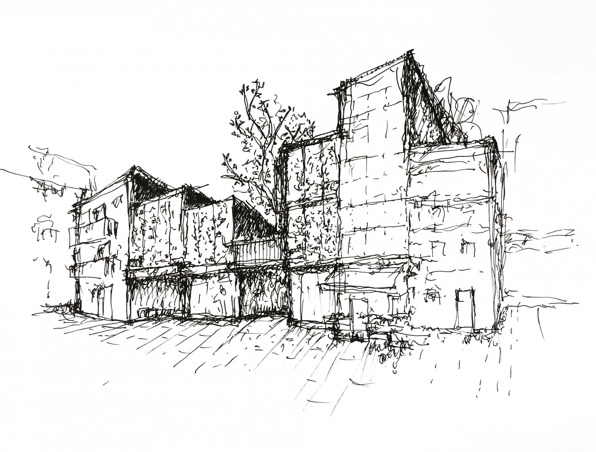 boceto2