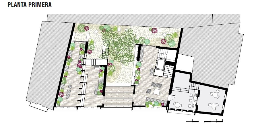 planta1
