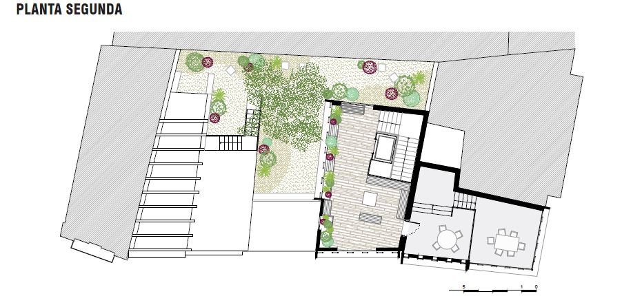 planta2